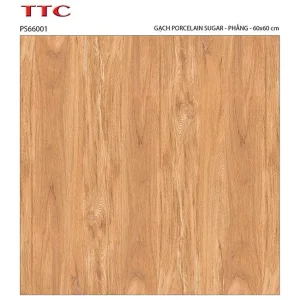 Gạch lát nền 60x60 TTC Ceramic PS66001