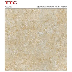 Gạch lát nền 60x60 TTC Ceramic PS66002