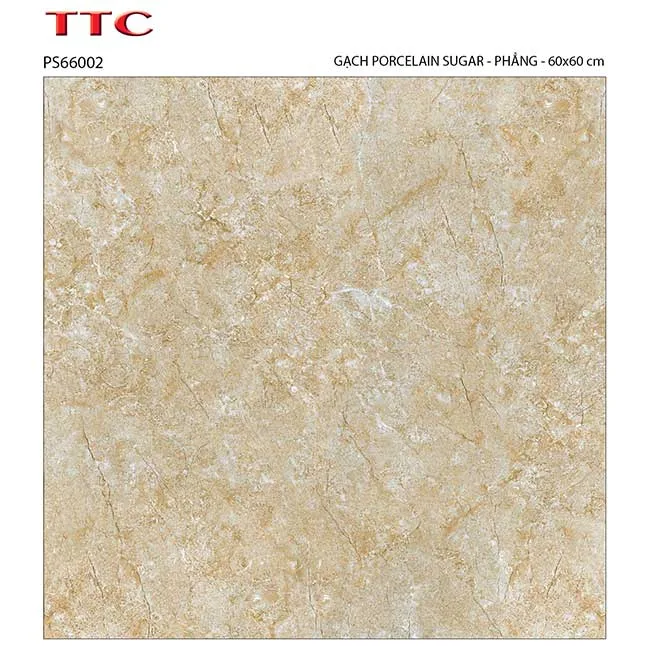 Gạch lát nền 60x60 TTC Ceramic PS66002