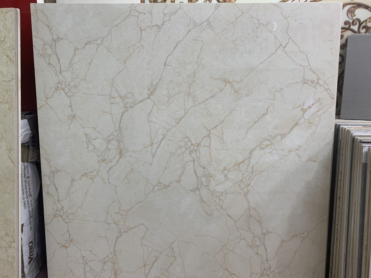 Gạch ốp lát 100x100cm Tasa 1352 4 Gạch ốp lát 100x100cm Tasa 1352 3