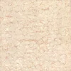 Gạch lát nền Viglacera 60x60 TS2-615