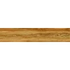 15x80 Prime 03.150800.08889