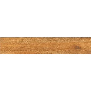 15x80 Prime 03.150800.08956