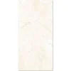 25x60 Đồng Tâm 2560ROME002