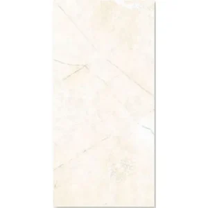 25x60 Đồng Tâm 2560ROME002