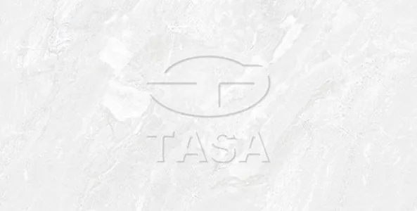 Gạch ốp tường 40x80 TASA 4901