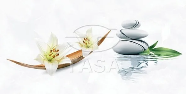 Gạch ốp tường 40x80 TASA 4910 1 Gạch ốp tường 40x80 TASA 4910