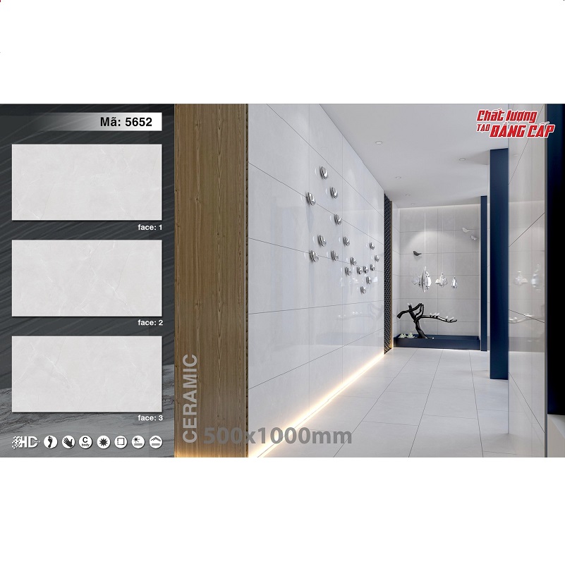 Gạch ốp lát 50x100 cm Tasas màu ghi 5262