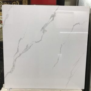 Gạch lát nền 60×60 TASA FUSHITA 6338