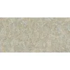 Gạch ốp tường Viglacera 30x60 BS3602