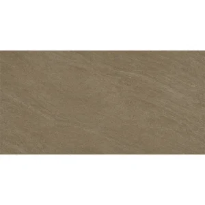 Gạch ốp tường Viglacera 30x60 BS3628
