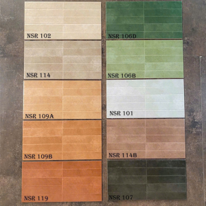 Gạch Trang Trí 30x60cm Trung Quốc NSR101