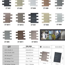Gạch Thẻ Trang Trí 245x325mm Việt Nam CT504