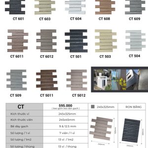 Gạch Thẻ Trang Trí 245x325mm Việt Nam CT509