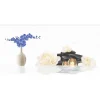 Gạch ốp tường 30x60 TTC Ceramic DB36069