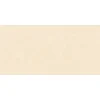 Gạch ốp tường Viglacera 30x60 F3620