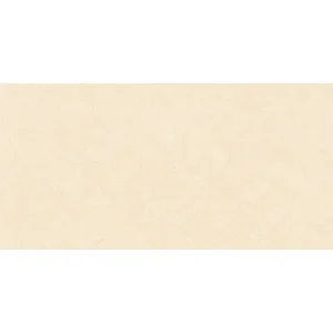 Gạch ốp tường Viglacera 30x60 F3620