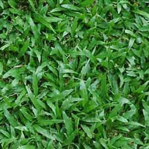 Gạch lát sân vườn 40x40 Đồng Tâm 4040CLG001