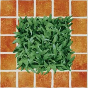 Gạch lát sân vườn 40x40 Đồng Tâm 4040CLG002