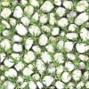 Gạch lát sân vườn 40x40 Đồng Tâm 4040CLG002