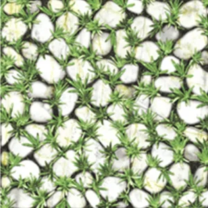 Gạch lát sân vườn 40x40 Đồng Tâm CLG003