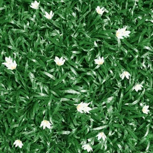 Gạch lát sân vườn 40x40 Mikado MC403