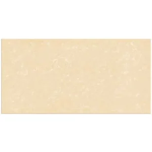 30x60 GS8.2443