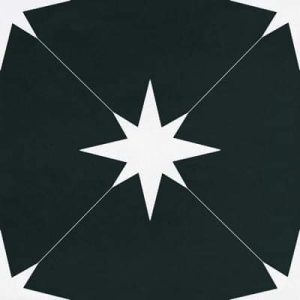 Gạch ốp lát Tây Ban Nha 22,3×22,3cm HM0238