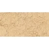 Gạch ốp tường Viglacera 30x60 KT3642