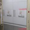 Gạch ốp lát Royal 30x60cm Louis02