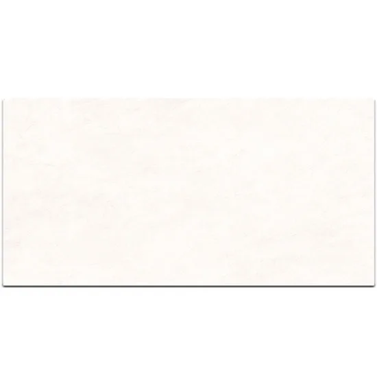 30x60 MW8 8173