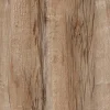 Gạch lát nền 60x60 TTC Ceramic PM66202