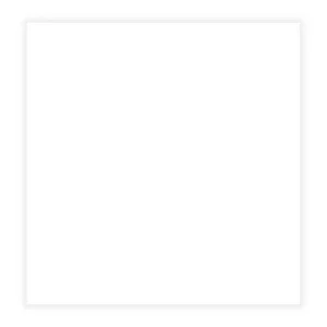 Catalan 30x60 Unicolor White