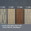 Gạch Trang Trí 25x50cm Việt Nhật VN88