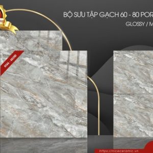 Gạch ốp lát Nice vân đá ghi đậm 6020D