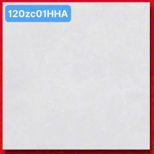 Gạch Ốp Lát 120x120cm Trung Quốc 120S19HHA