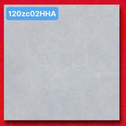 120ZC02HHA