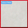 Gạch Ốp Lát 120x120cm Trung Quốc 120ZC17HHA