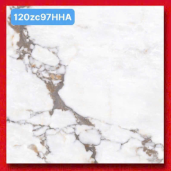 Gạch Ốp Lát 120x120cm Trung Quốc 120ZC97HHA
