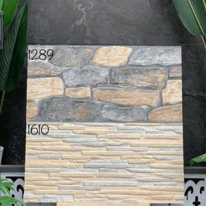 Gạch Ốp Lát 30x60cm Ấn Độ 1289-1610