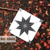 Gạch 30×30 CMC BC3005