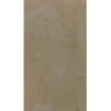 Gạch ốp tường 30x60 Vietceramics 36Y021