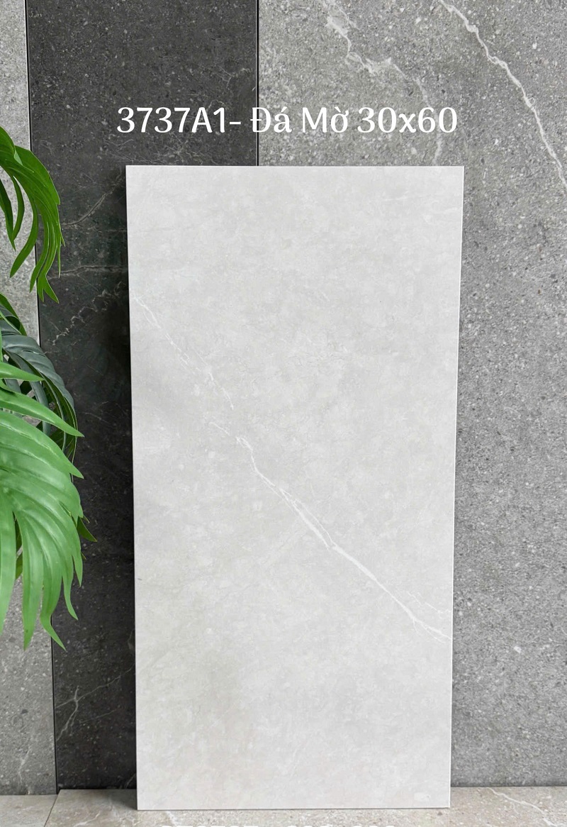 Gạch Ốp Lát Trung Quốc 30x60cm màu vân xi măng 3730A1