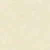 Gạch lát nền 60x60 Đồng Tâm 6060BINHTHUAN001