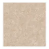 Gạch lát nền 60x60 Catalan 6606