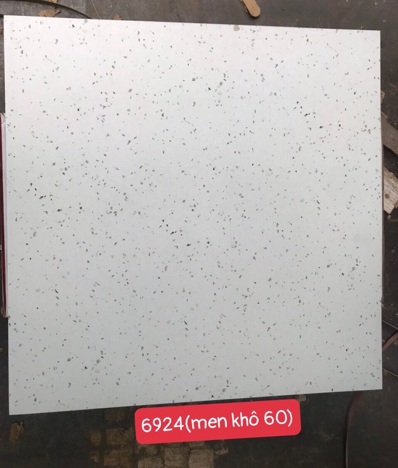 Gạch ốp lát 60×60 giả đá Granito-Terrazzo 6536