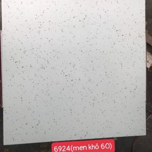 Gạch ốp lát 60×60 giả đá Granito-Terrazzo 6822