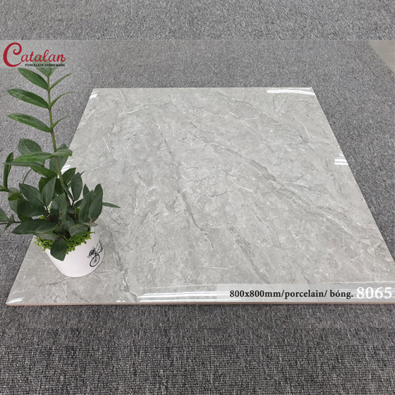 Gạch Ốp Lát 80x80 Catalan 8065 2 Gạch Ốp Lát 80x80 Catalan 8065