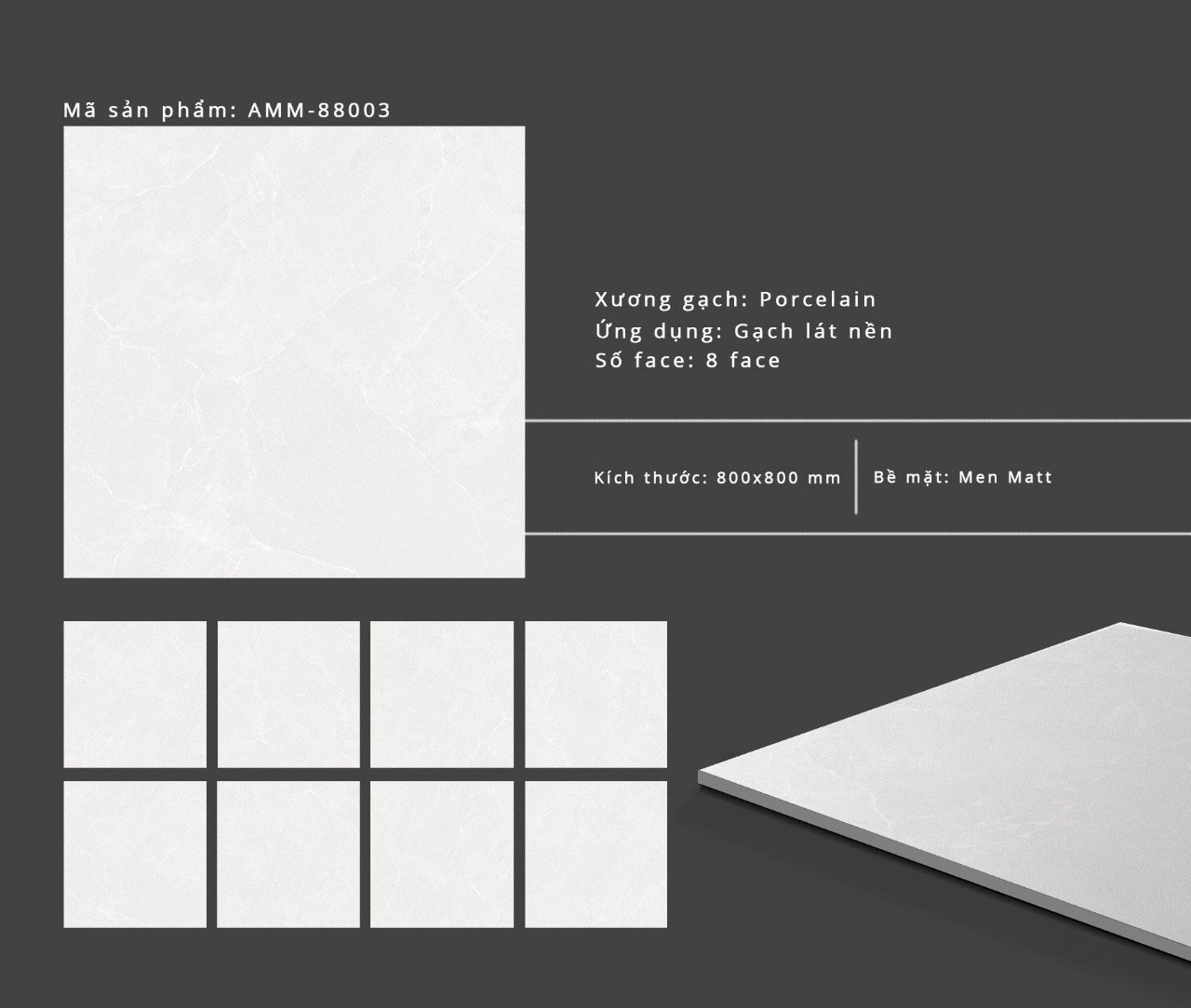 Gạch lát nền Grand Ceramic 80x80 AMM 88003 4 Gạch lát nền Grand Ceramic 80x80 AMM 88003 3