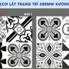 Gạch 30x30 CMC BC3003